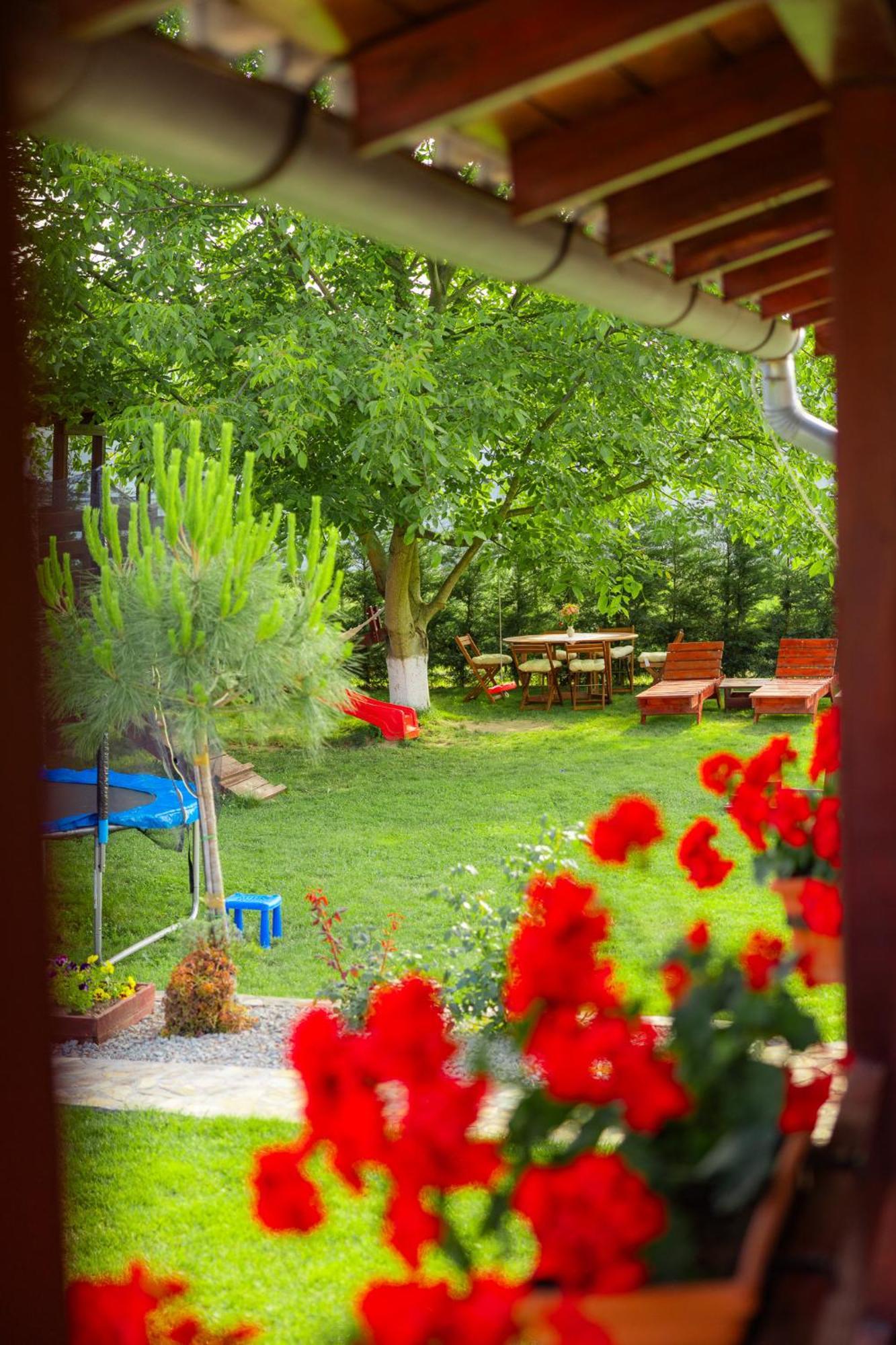 Pensiunea Regal Baile 1 Mai Bagian luar foto